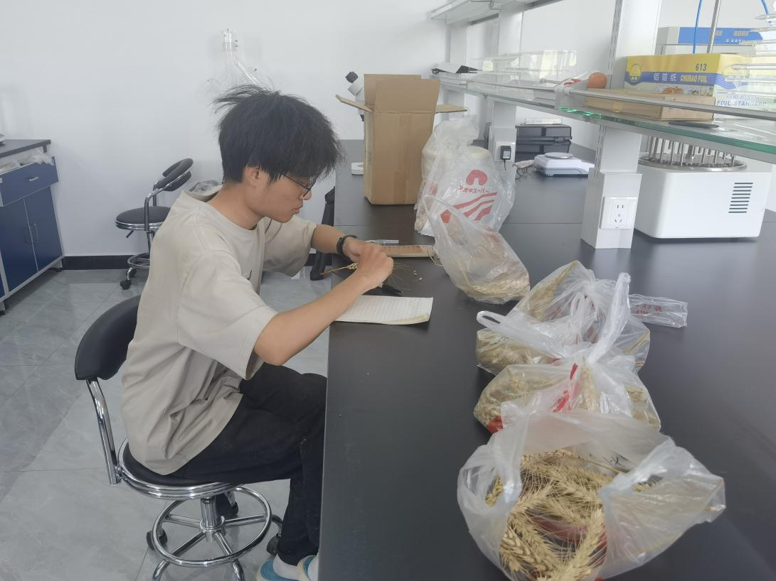 圖片3.png